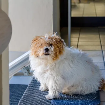 Hotel Boston Cesenatico