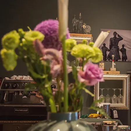 Boston 3* Cesenatico