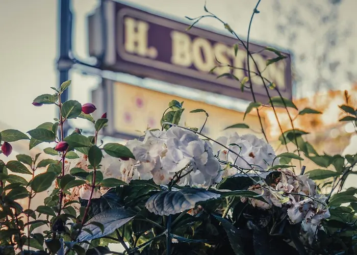 Boston فندق