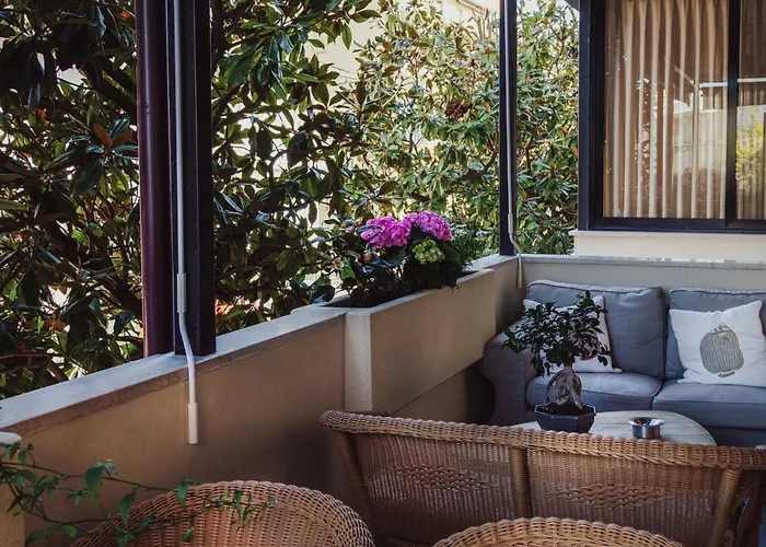 Boston تْشيزيناتيكو